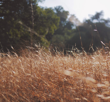 西班牙自行车选手斩获铁人三项金牌
